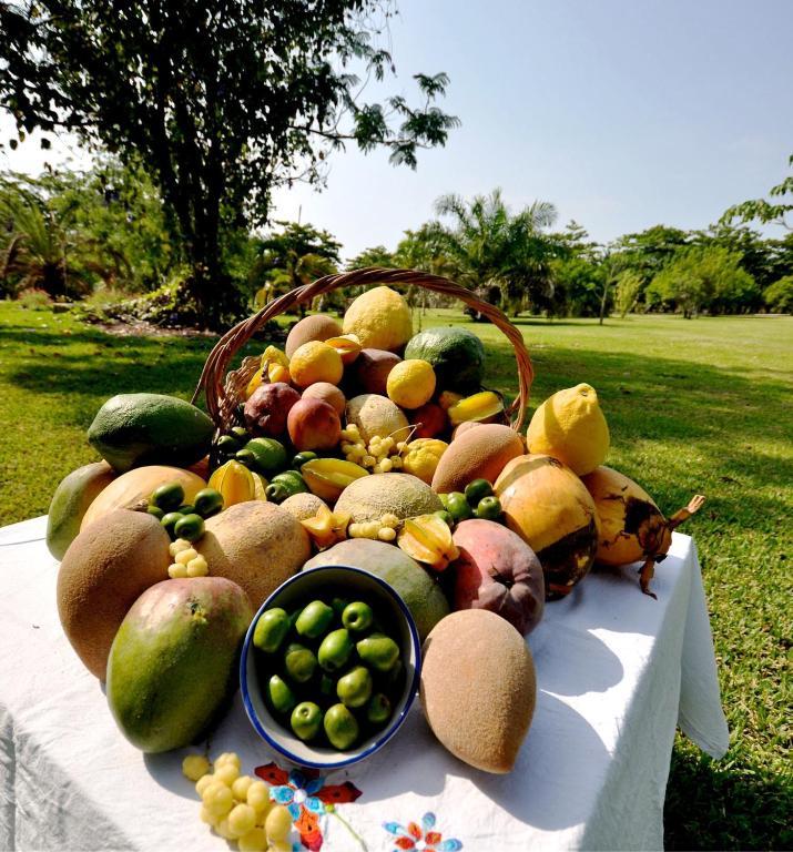 Hacienda San Francisco Tzacalha Hotel Dzidzantún Eksteriør billede