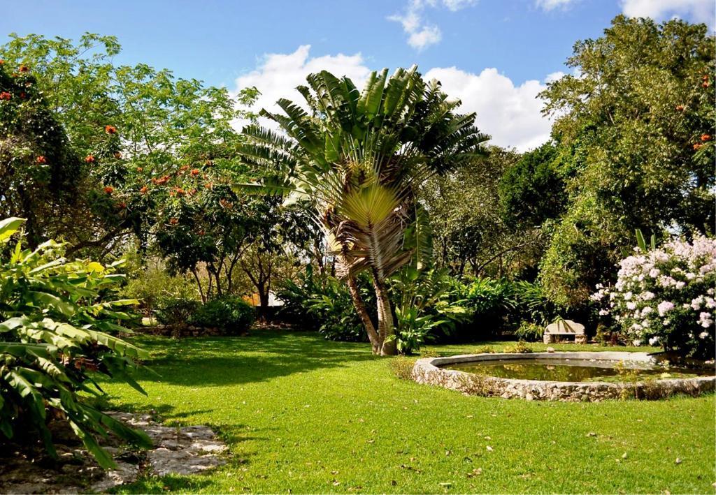 Hacienda San Francisco Tzacalha Hotel Dzidzantún Eksteriør billede